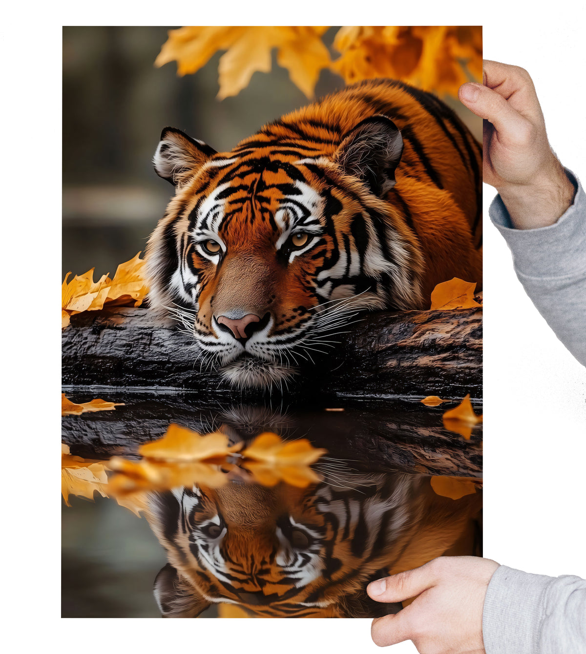 Tiger Wall Art Print A4 A3, Majestic Tiger in Tree Sunset Poster, Wildlife Animal Wall Décor, Big Cat Art Print, Orange Sunset Safari